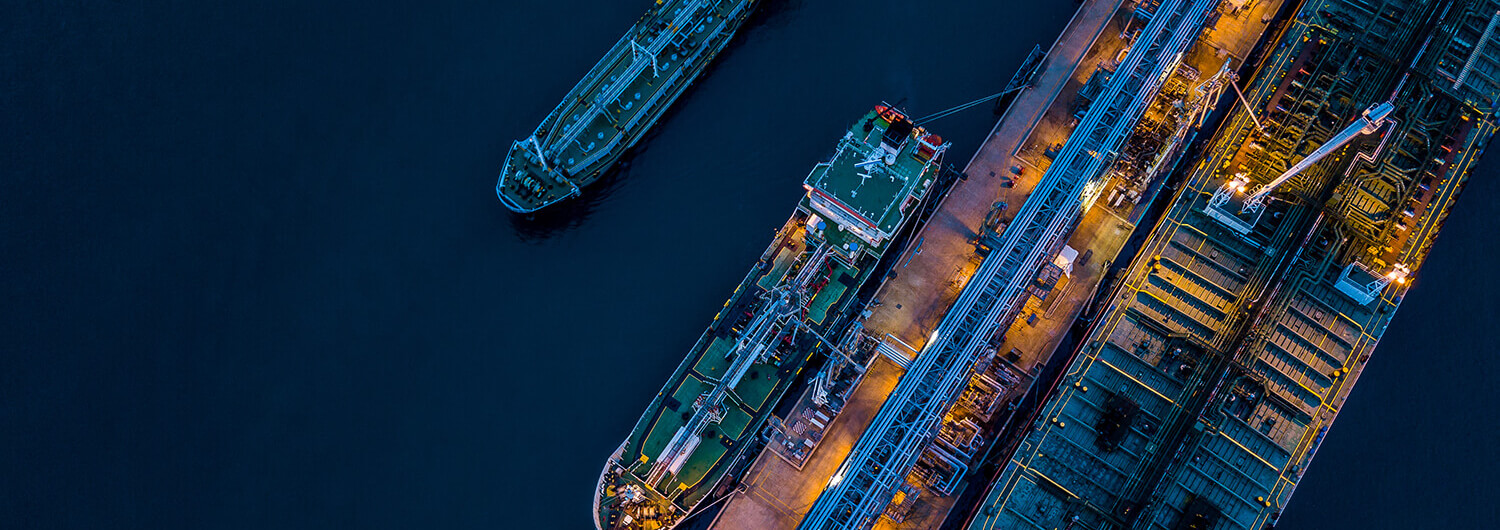 Project Controls & Asset Management, showing ships